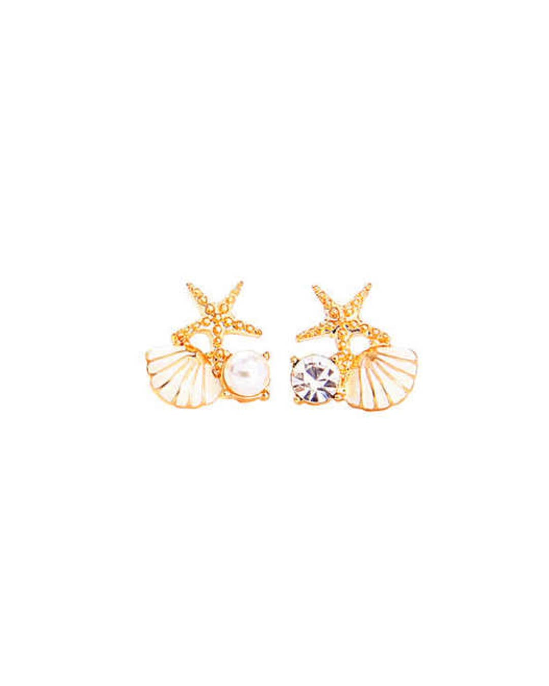 Sea Shell Earrings